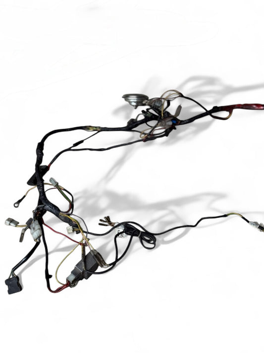 Impianto elettrico completo