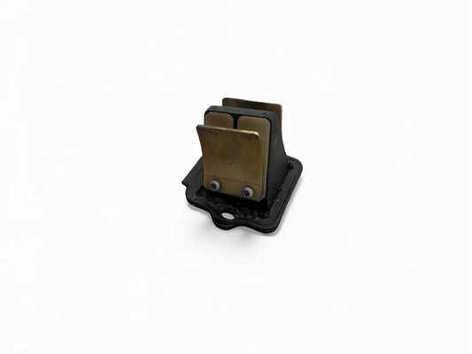 Pacco lamellare piaggoo