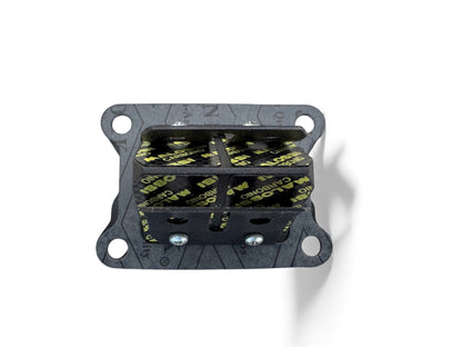 Pacco lamellare malossi am6/derbi