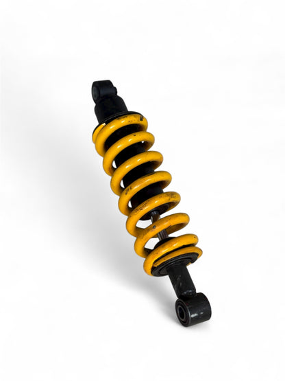 Mono Posteriore Sachs